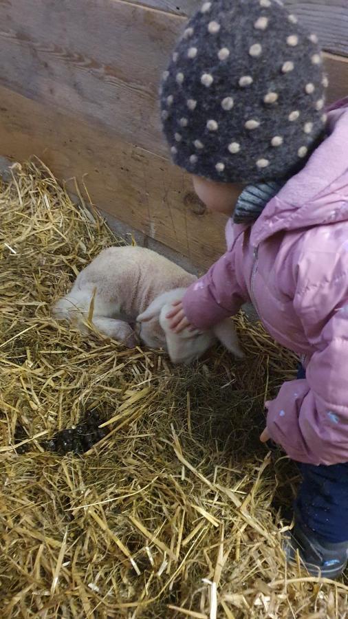 Hinterreithlehen - Ferienwohnung Am Bauernhof Mittersill Esterno foto