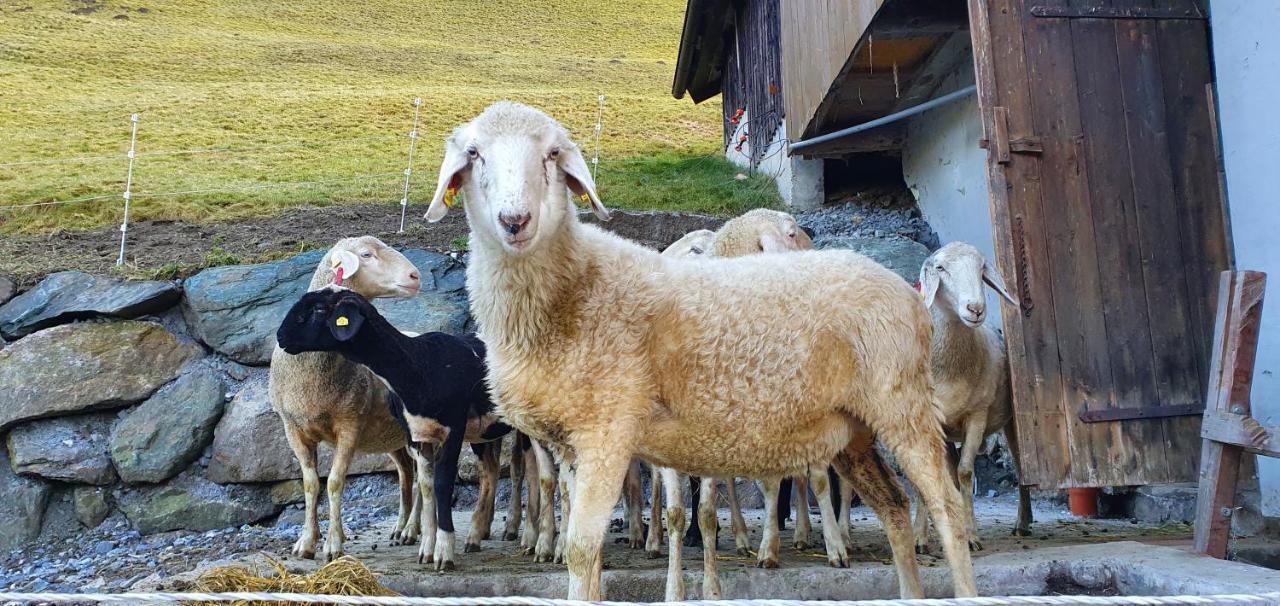 Hinterreithlehen - Ferienwohnung Am Bauernhof Mittersill Esterno foto