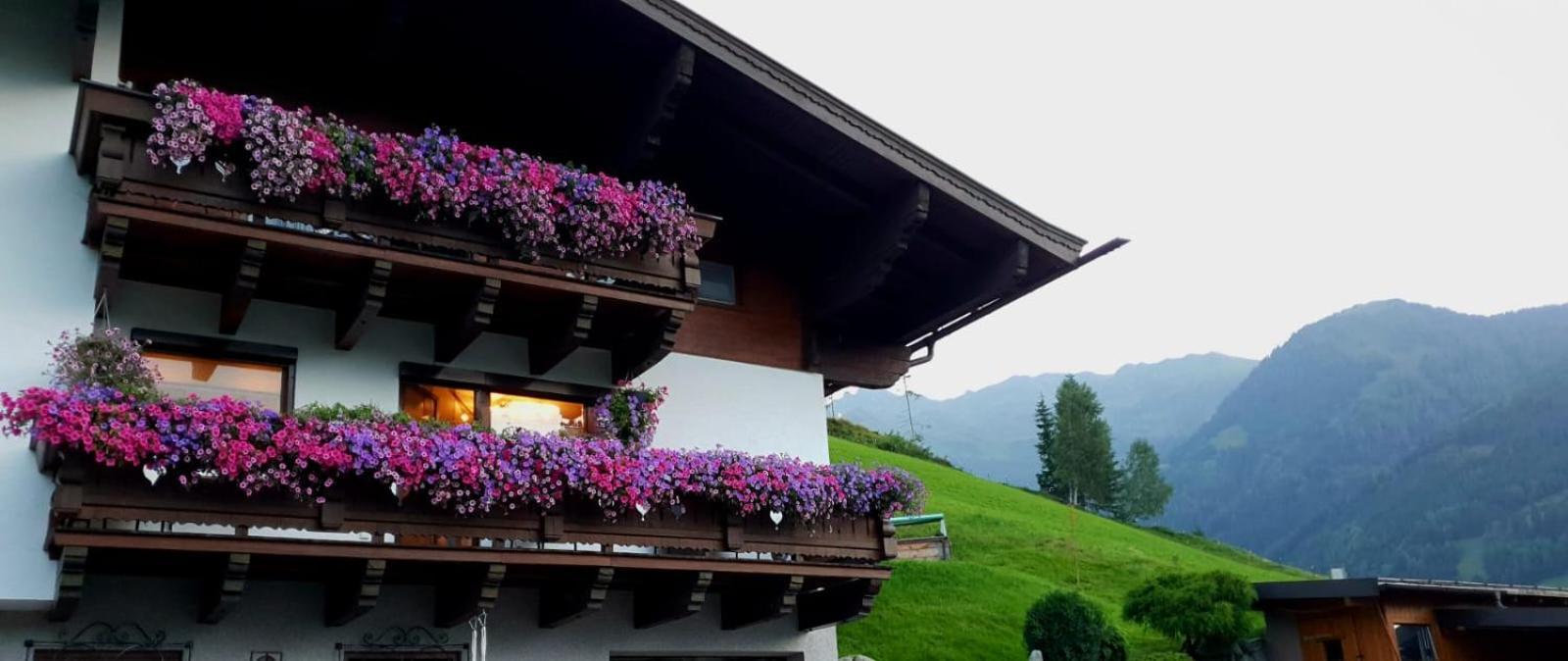 Hinterreithlehen - Ferienwohnung Am Bauernhof Mittersill Esterno foto